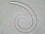 2010-06-22 2010-06-22
