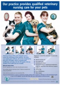 New Veterinary Nursing Poster Now Available! - CAW Blog