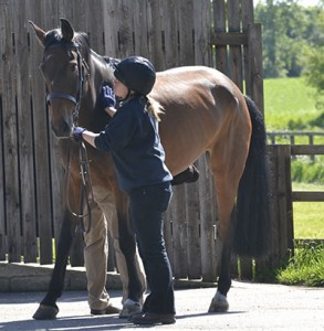 Girl holding horse