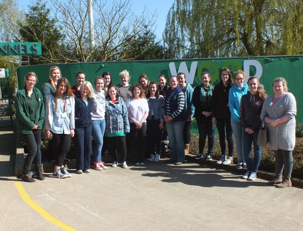 Student Veterinary Nurses Visiting Wood Green