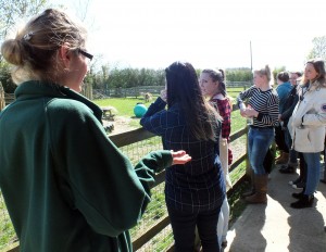 Student Veterinary Nurses Visit Wood Green