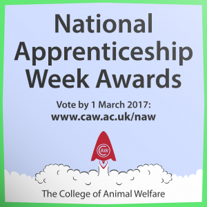 National Apprenticeship Week Awards advert