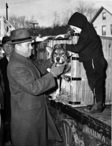 F&F - Chips returns home. John Wren was four years old when Chips came home from the war