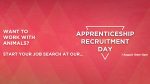 apprenticeship recruitment day