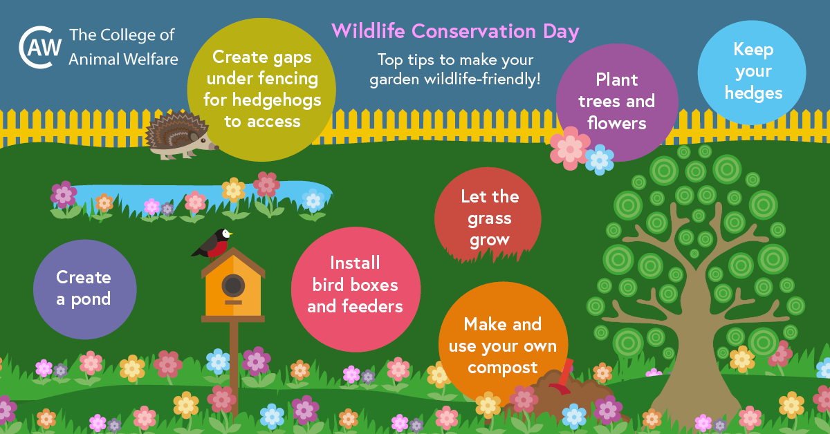 Wildlife Conservation Day: Top Tips to make your garden more wildlife-friendly!  (4 Dec) - CAW Blog