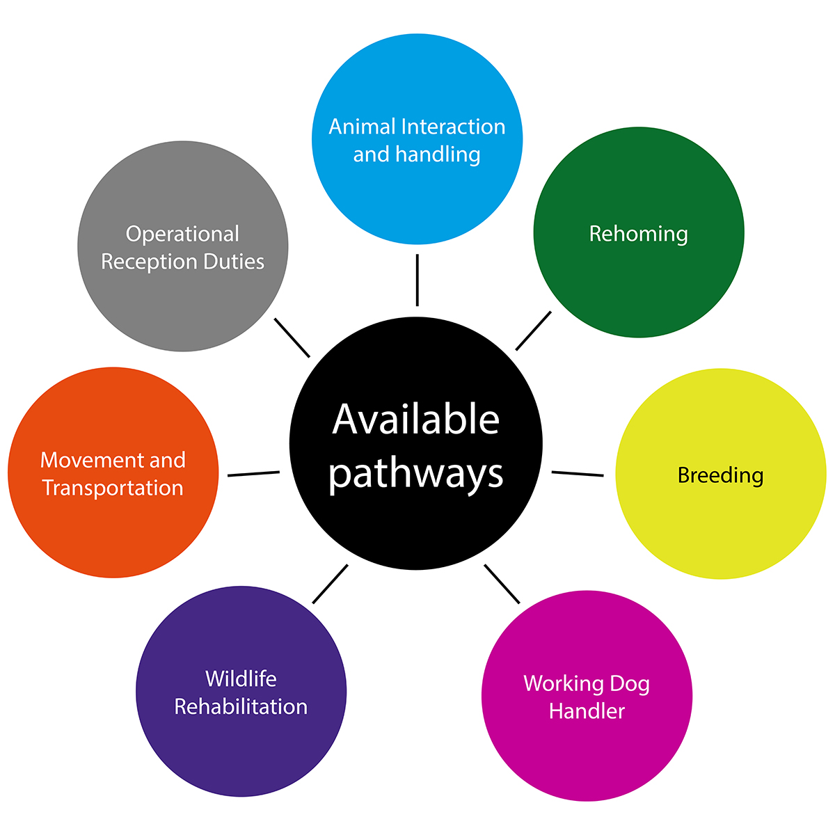 Pathways of the Animal Care and Welfare Level 2 Apprenticeship