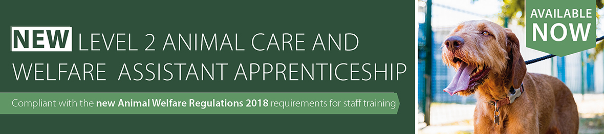 Advert for the new Level 2 Animal Care and Welfare Assistant Apprenticeship