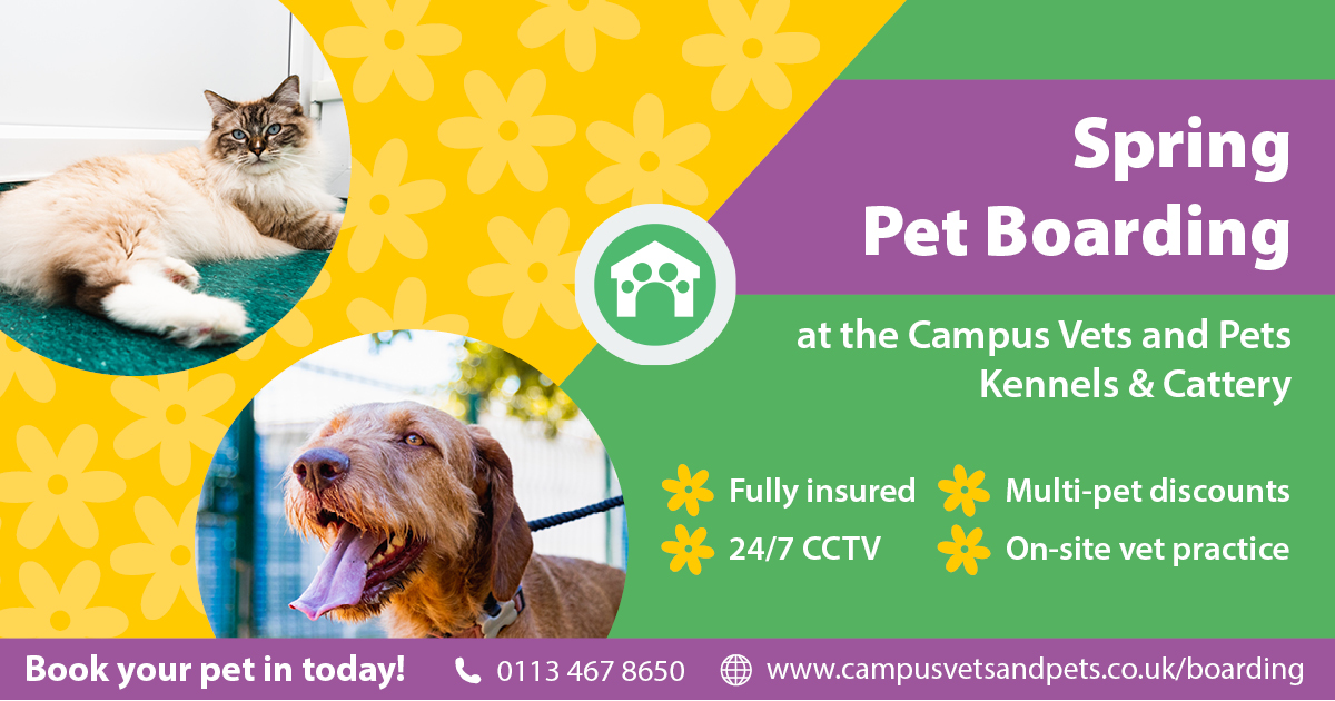 Save 30 on boarding fees this Spring at Campus Vets and Pets! CAW Blog