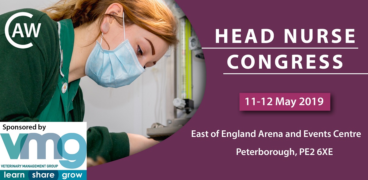 Head Nurse Congress 2019