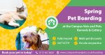 Blog cover image - campus vets and pets pet boarding spring 2019