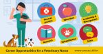 veterinary nursing career opportunities