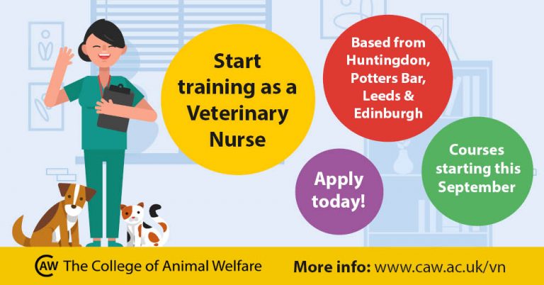 Start training as a veterinary nurse this September! - CAW Blog