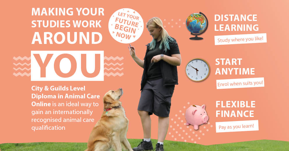 the-world-s-no-1-small-animal-care-course-the-blackford-centre