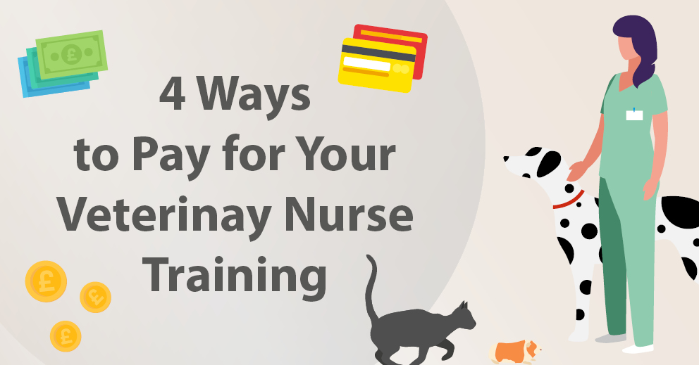 4 Ways to Pay for Your Veterinary Nurse Training featured image