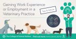 Veterinary Practice Work Experience
