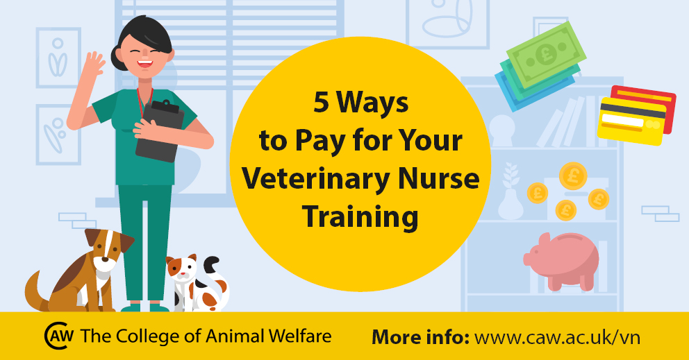 ways to pay for your veterinary nurse training blog header image