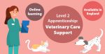 Level 2 Apprenticeship - Veterinary Care Support