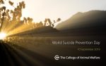 World Suicide Prevention Day