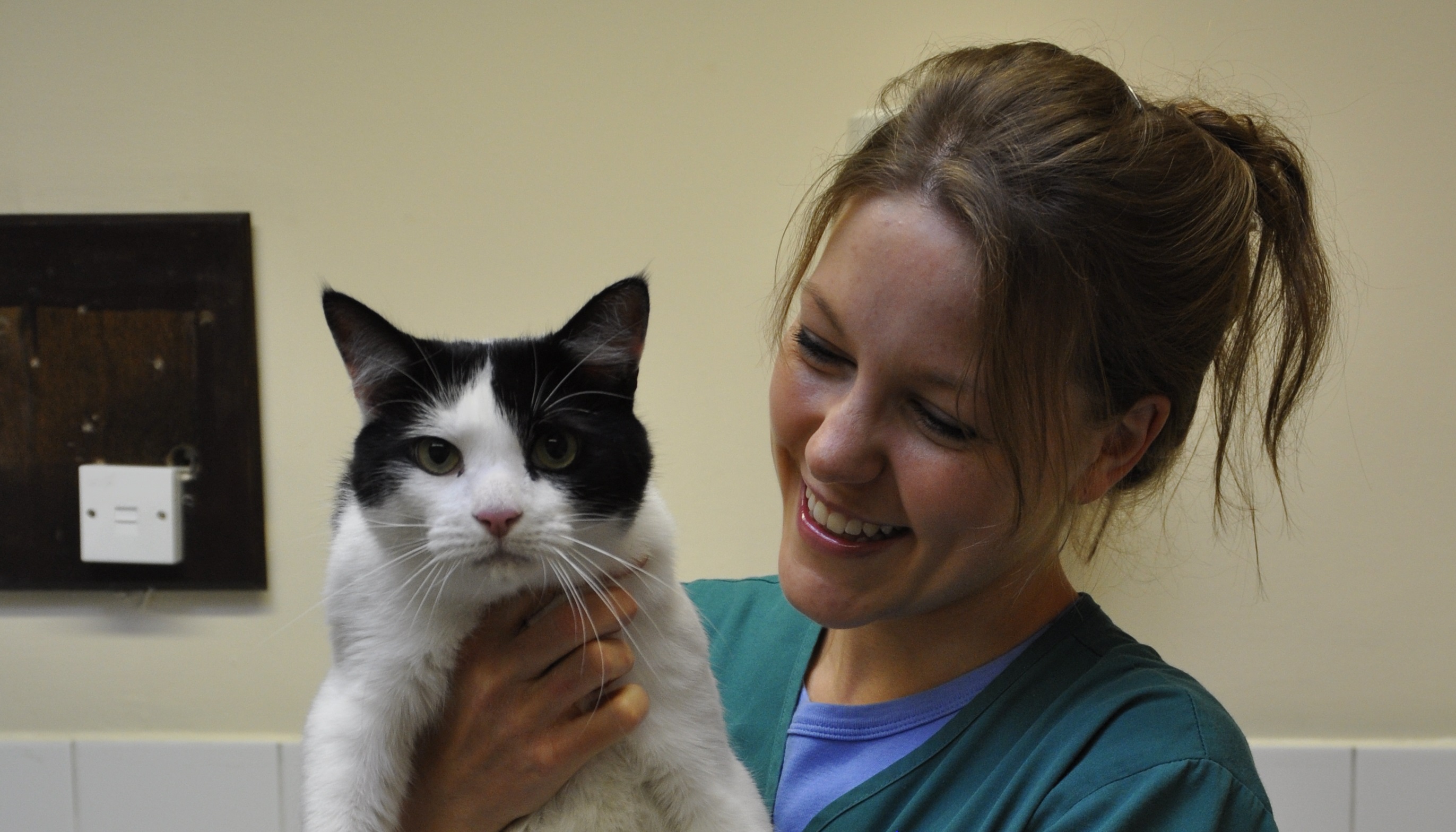 Veterinary Nurse Holding Cat