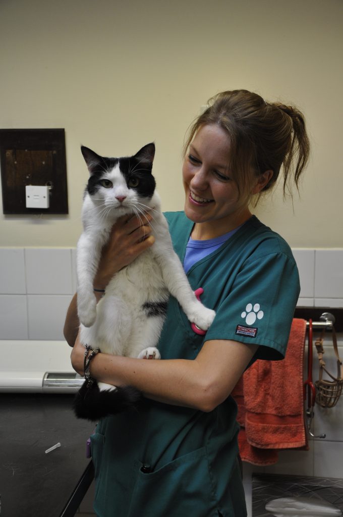 Veterinary Nurse Holding Cat CAW Blog