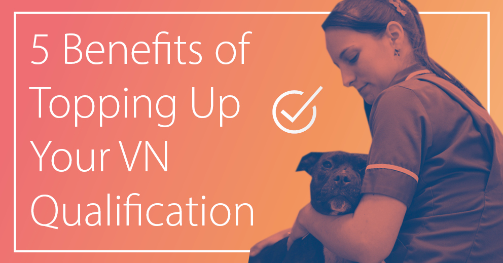 5 Benefits of Topping Up Your Veterinary Nursing Qualification CAW Blog
