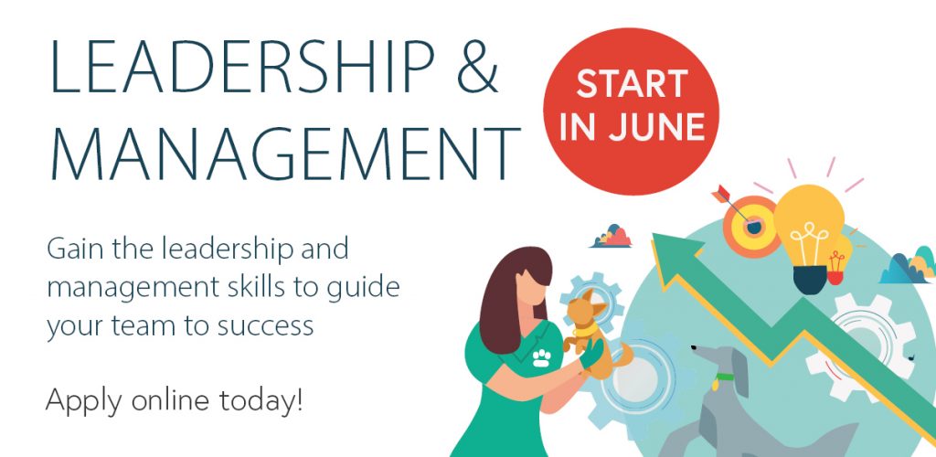 Leadership and Management Artwork Veterinary Version7 CAW Blog