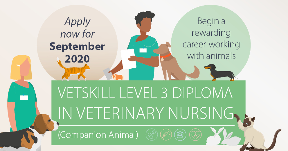 Veterinary Ce Fall 2024 Application Lishe Phillie