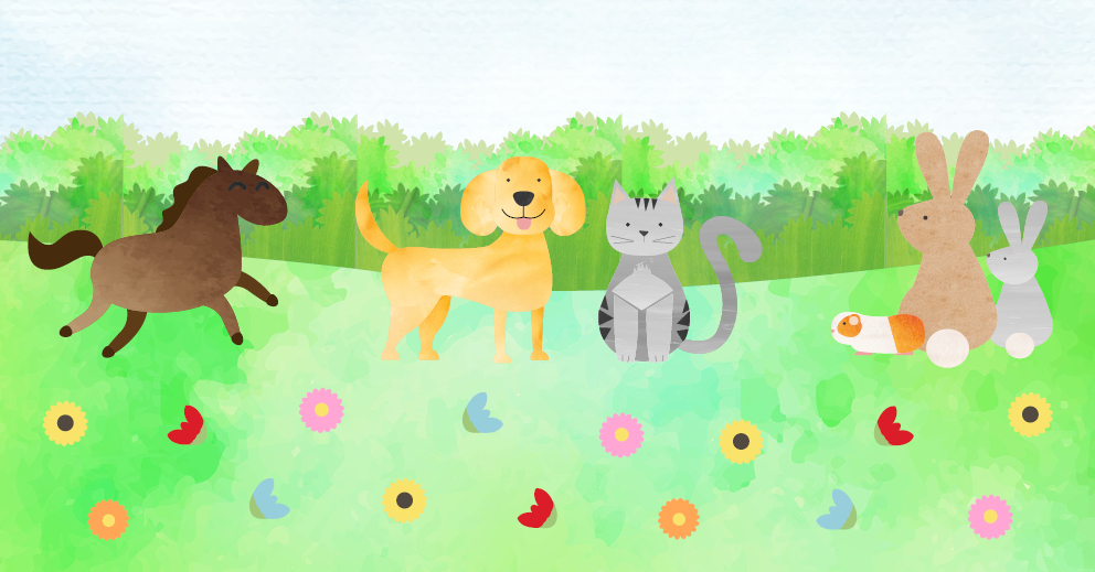 5 Ways to Find Out If A Career Working With Animals Is For You CAW Blog