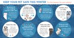 Winter Pet Safety Tips Infographic1