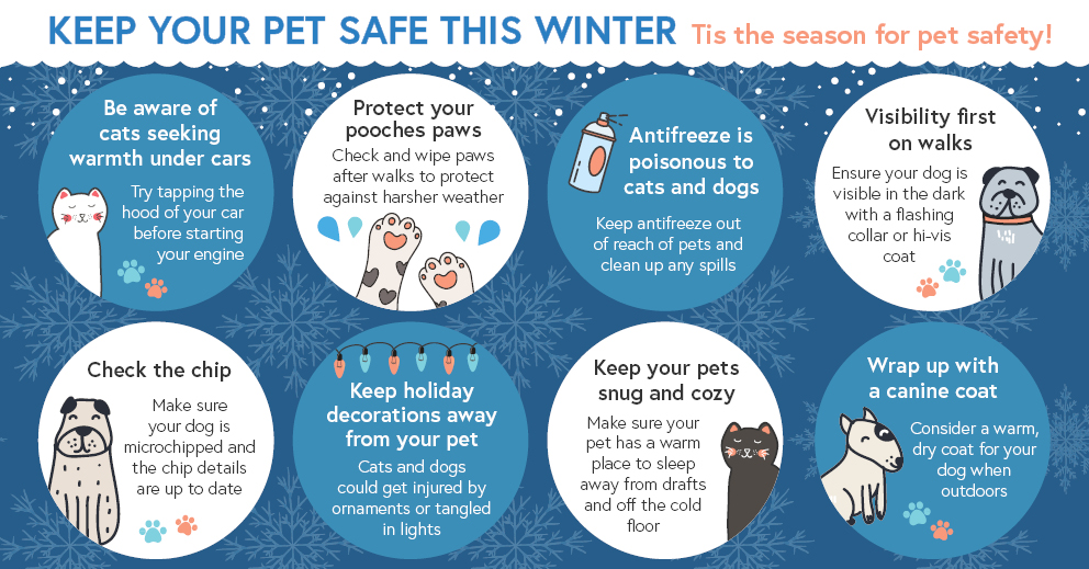 winter-pet-safety-tips-infographic1-caw-blog