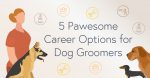 Pawesome career options for dog groomers