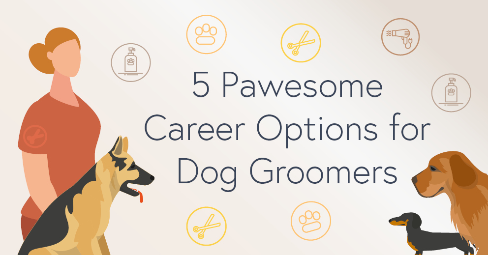 5 Pawesome Career Options For Dog Groomers Caw Blog