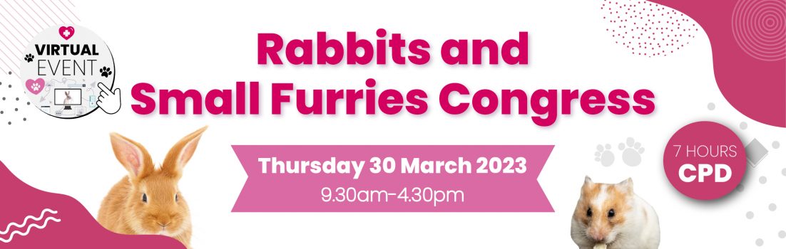 Rabbits and Small Furries Congress Image