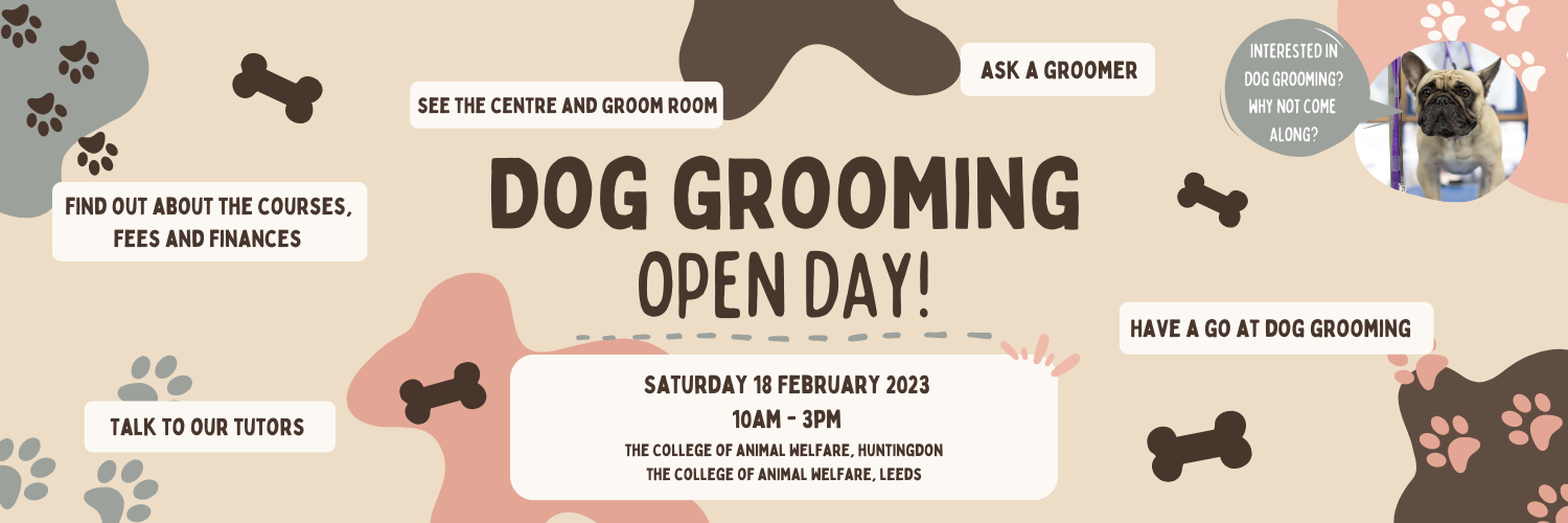 New for 2023 Dog Grooming Open Day! CAW Blog
