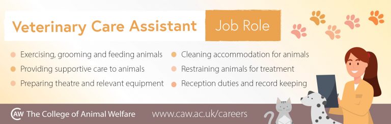 Career Spotlight Veterinary Care Assistant CAW Blog   XVeterinary Care Assistant 768x244 .pagespeed.ic. HKvVDE4Xm 